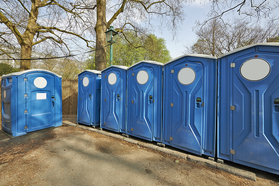 six blue portable toilets near the woods